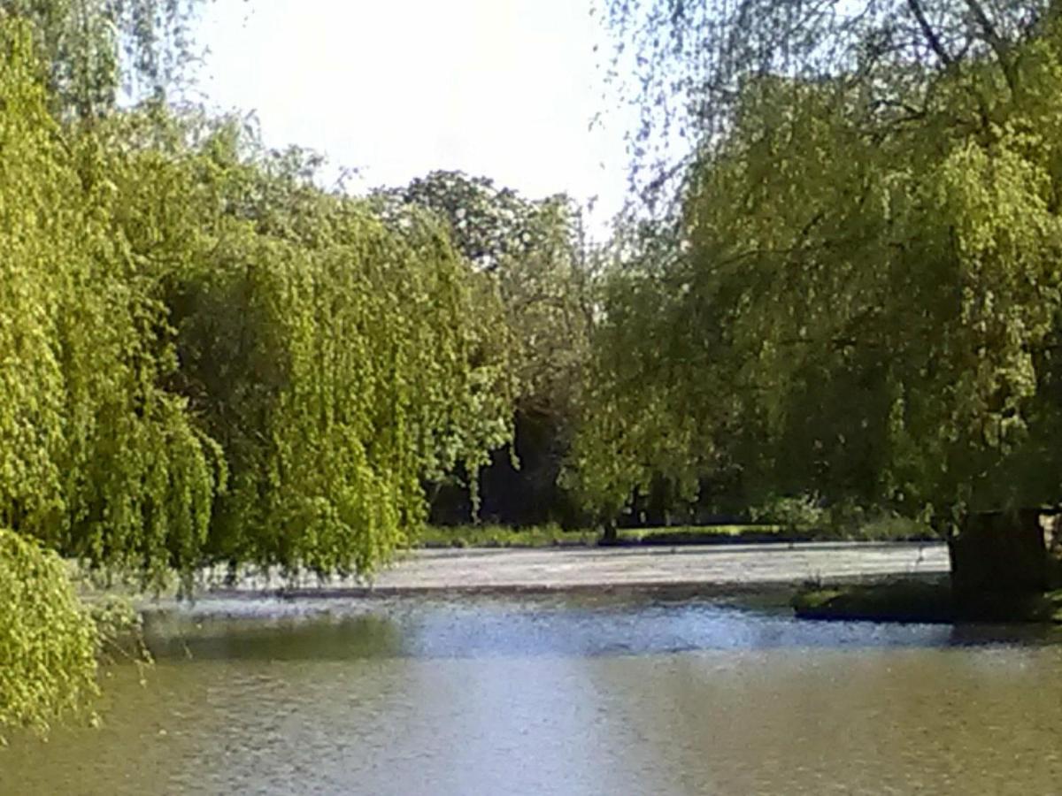 La Lune Lake Joue-en-Charnie 外观 照片